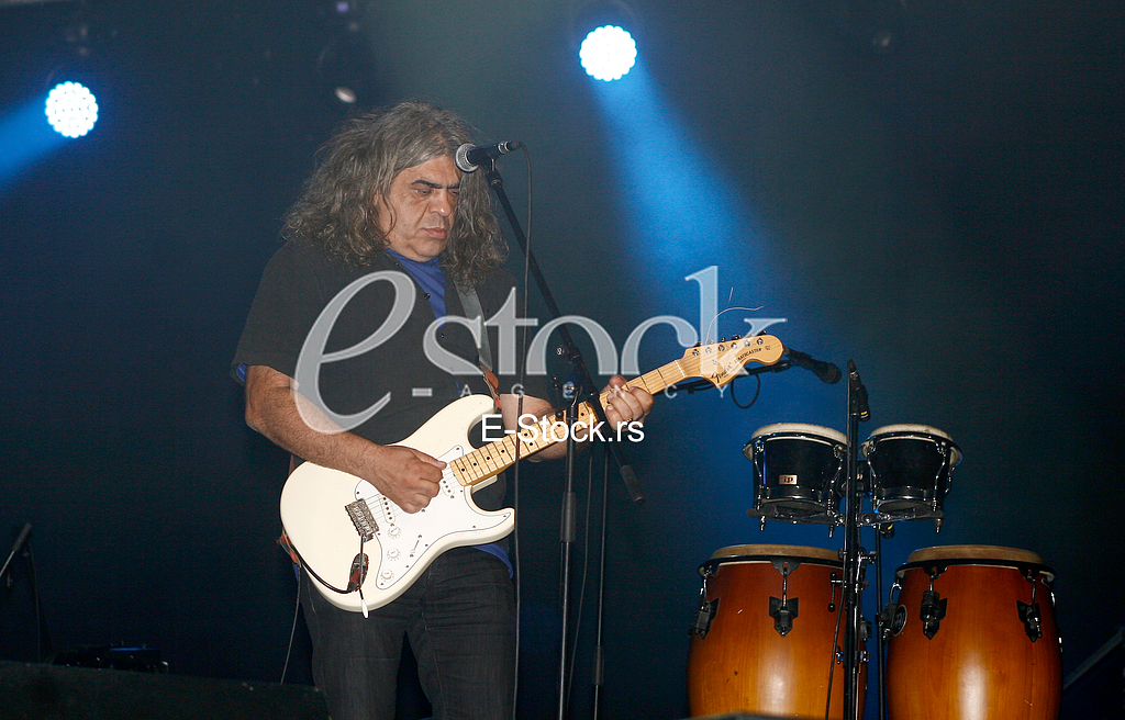 vlada divljan 60. rodjendan, koncert u savacentru