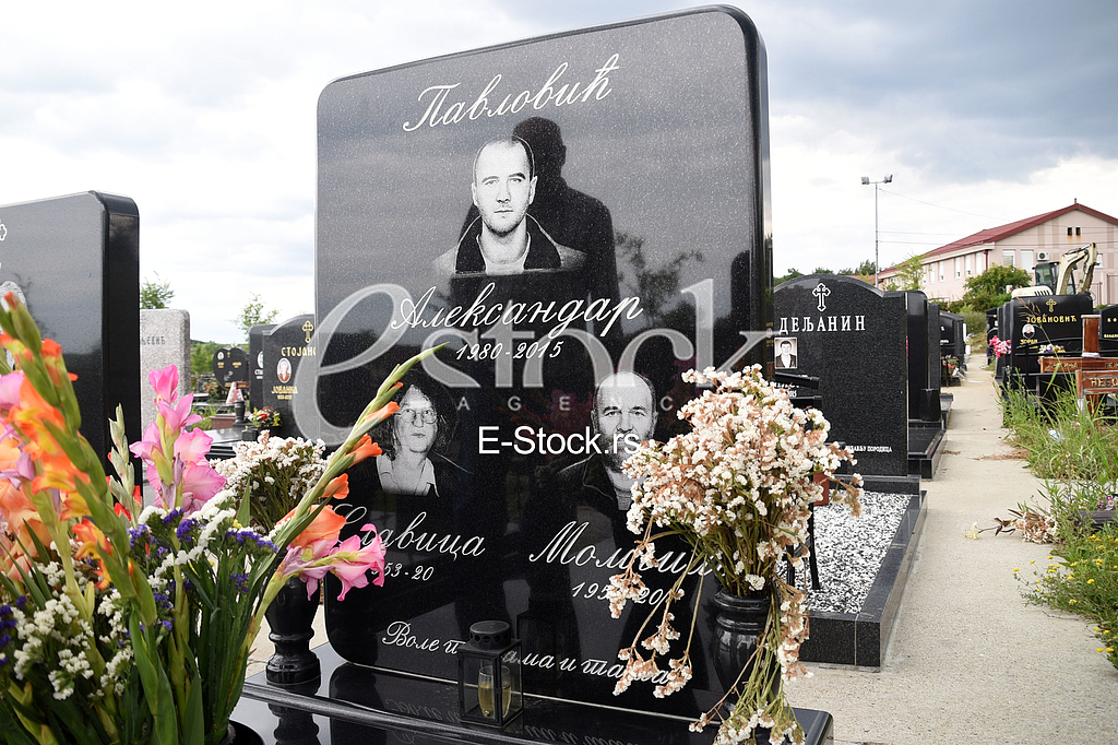  Aleksandar Pavlovic's grave 