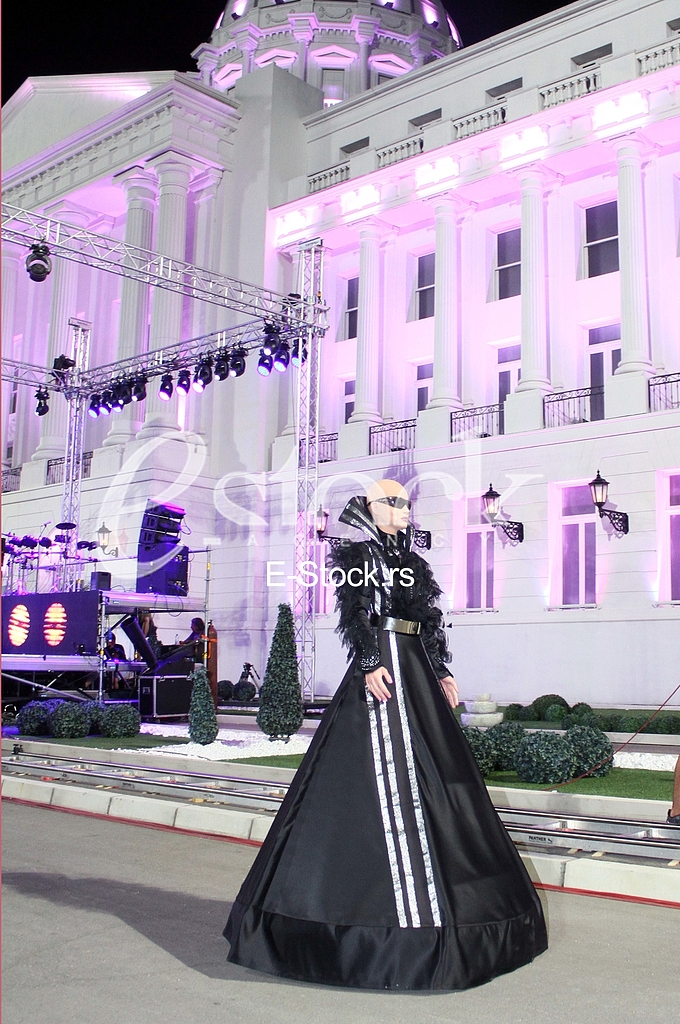 Robot Leposava