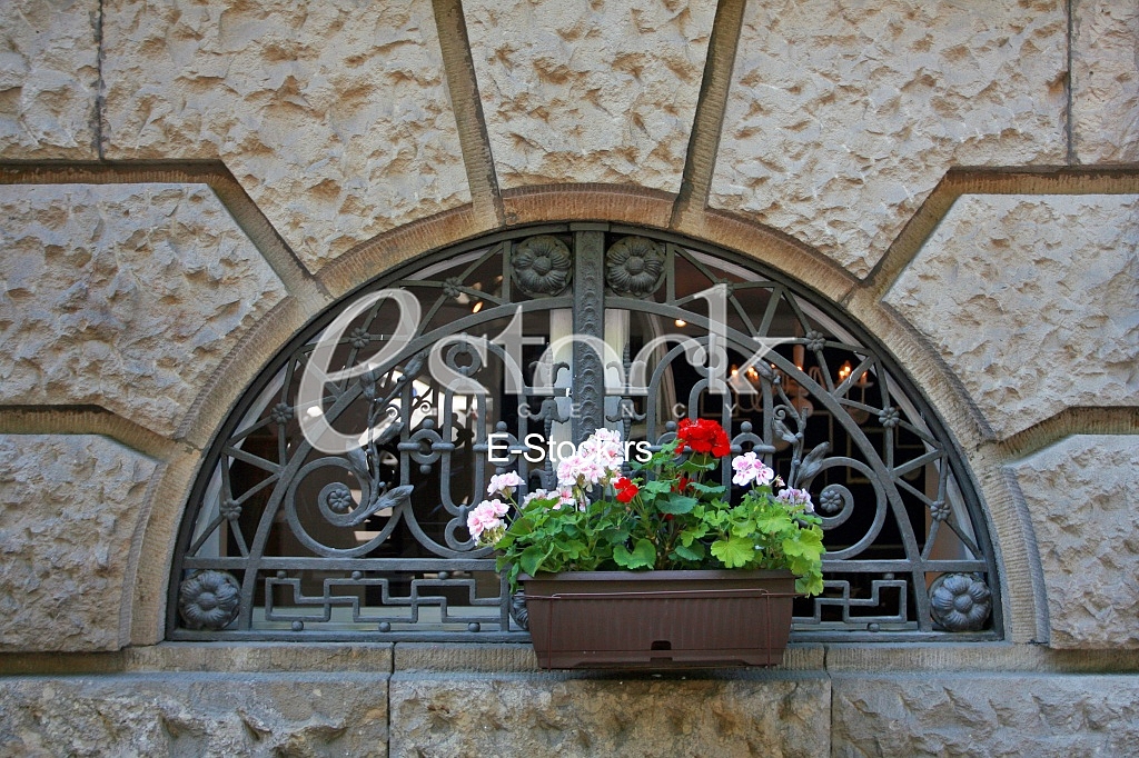 beauty geranium outdoor Flower box in window