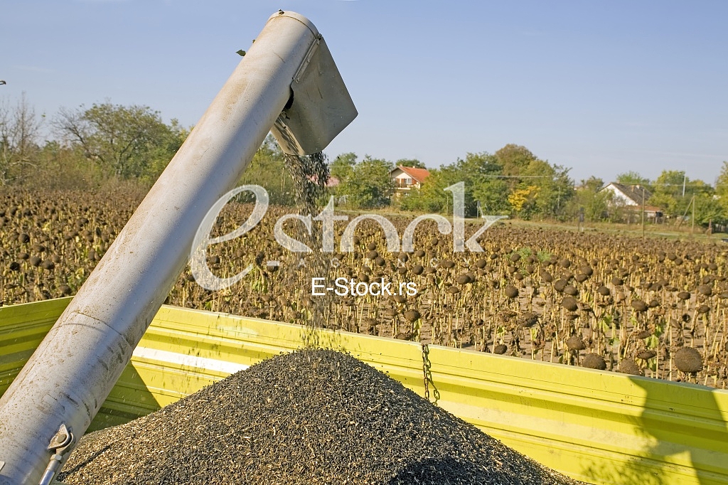 Agriculture
