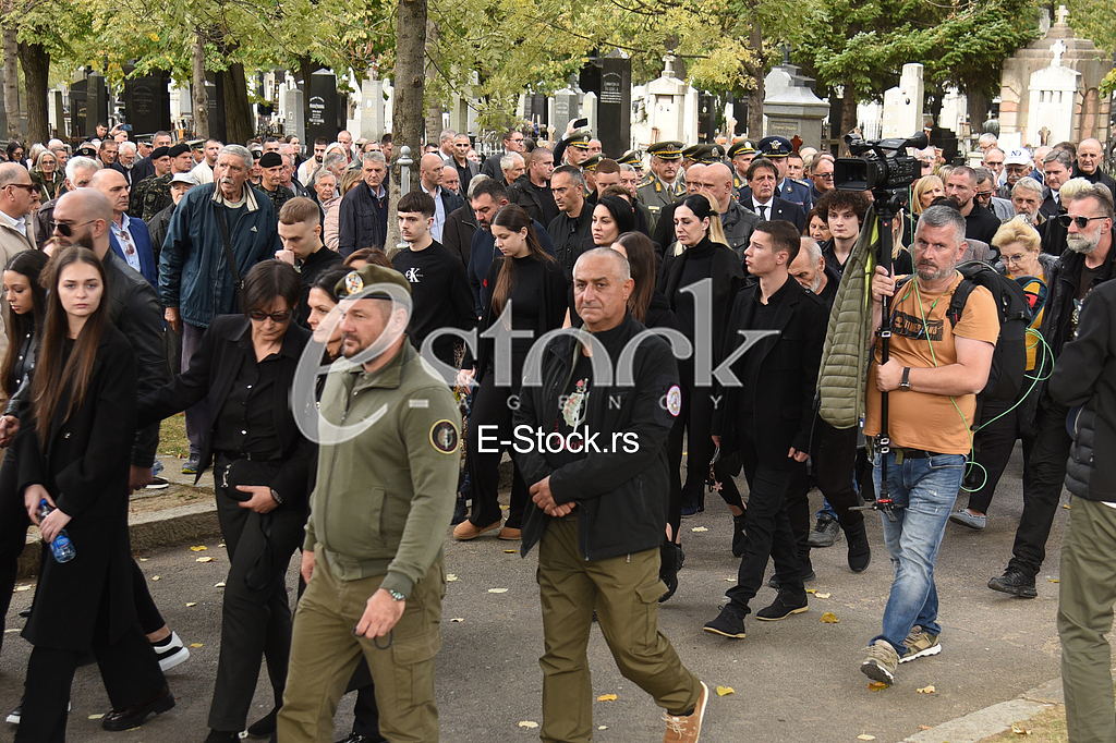 Nebojsa Pavkovic porodica