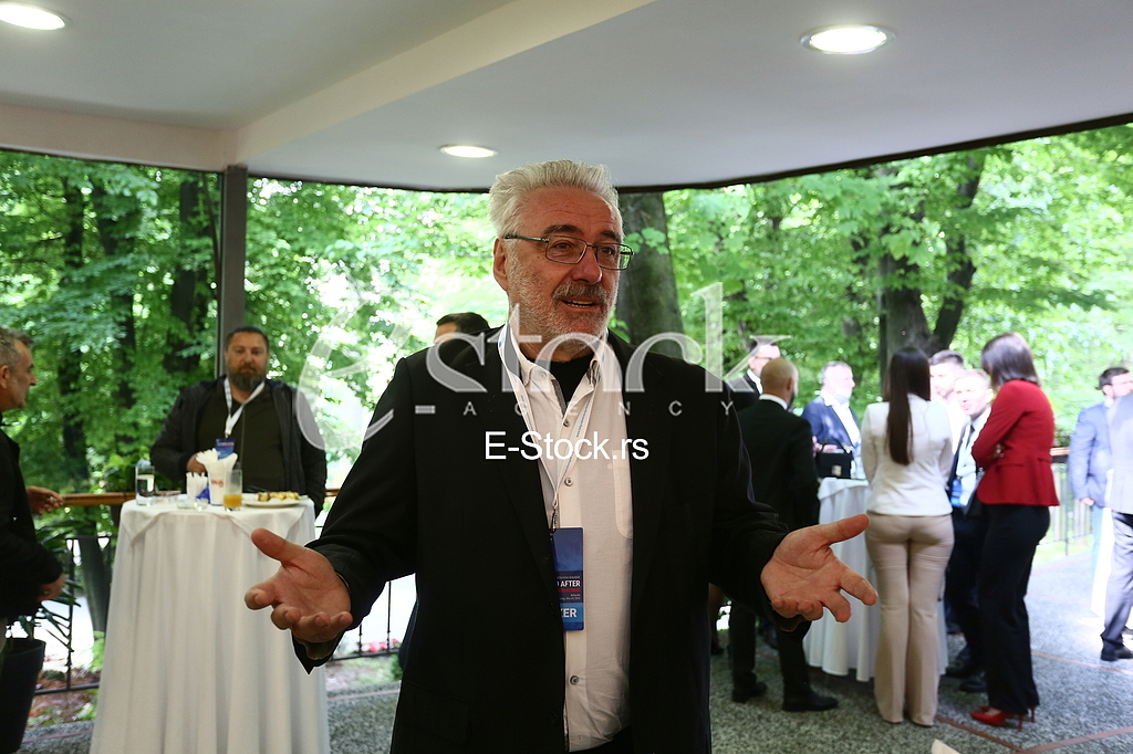 Branimir Nestorovic