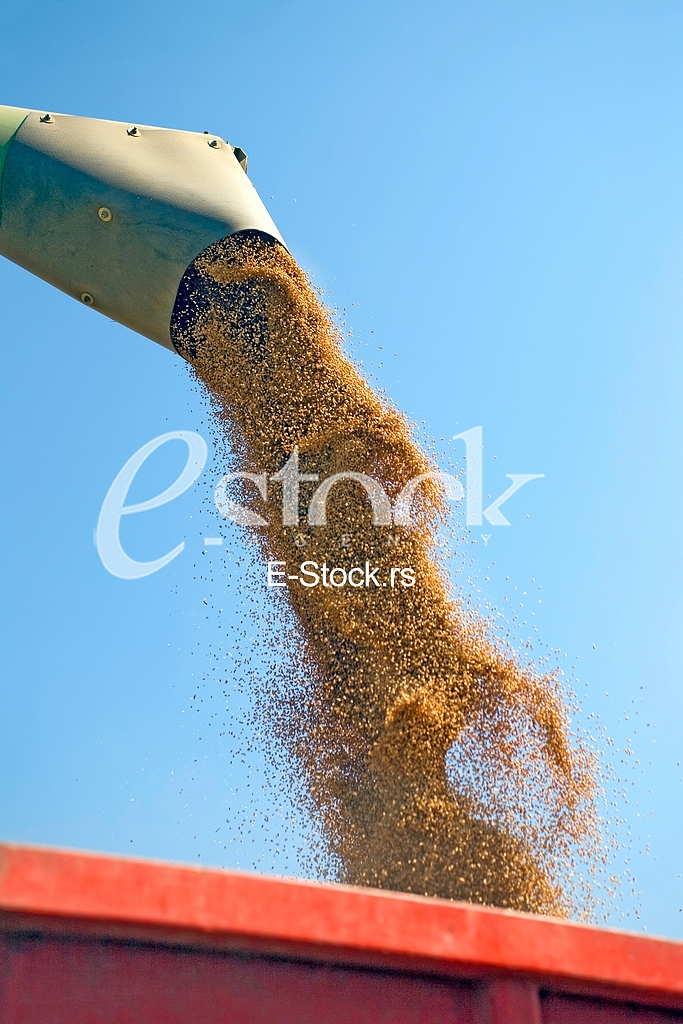 Agriculture