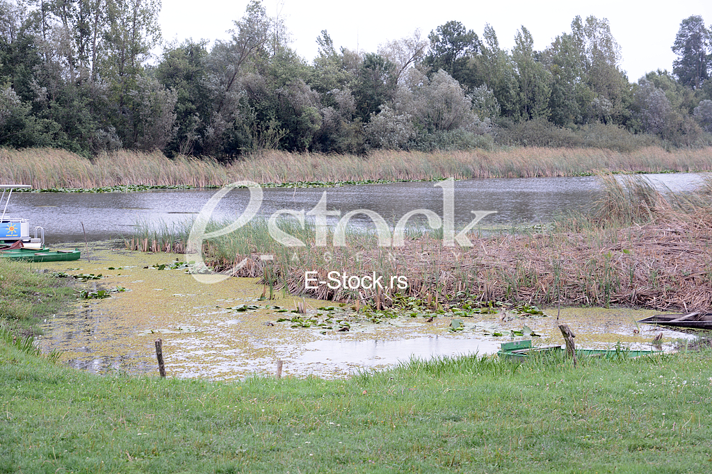 Zasavica, special nature reserve.






