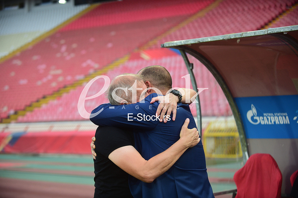 Vladimir Gacinovic i Dejan Stankovic