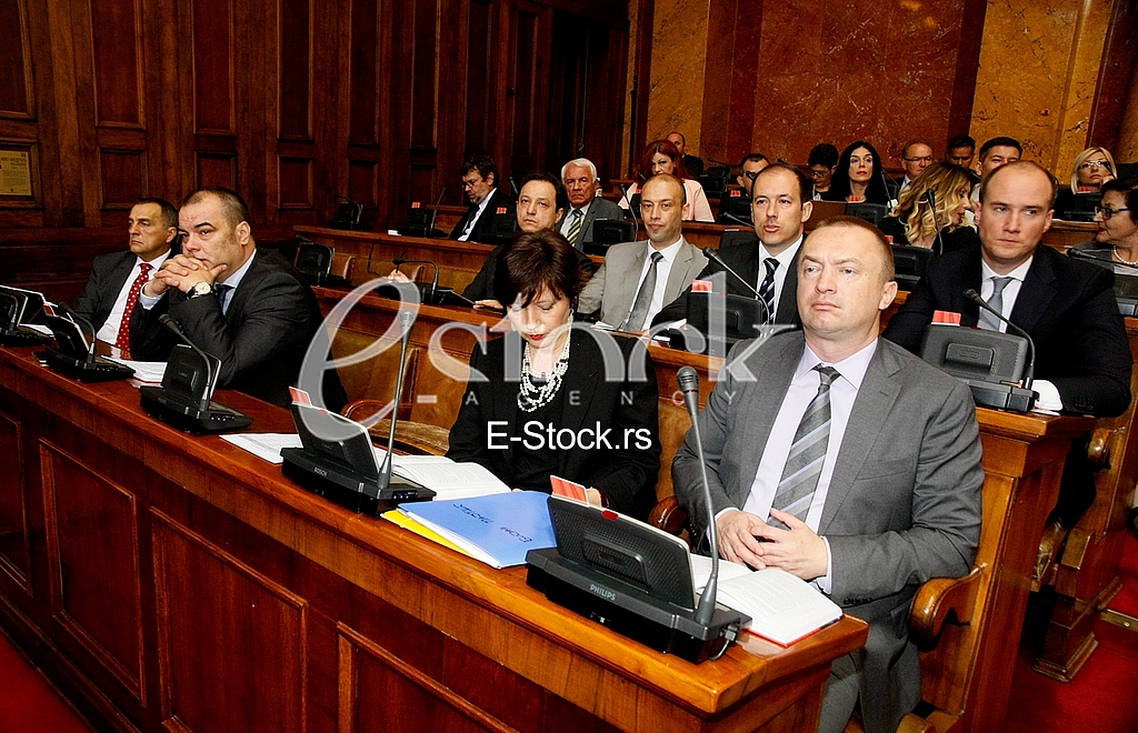 Serbian Assembly session