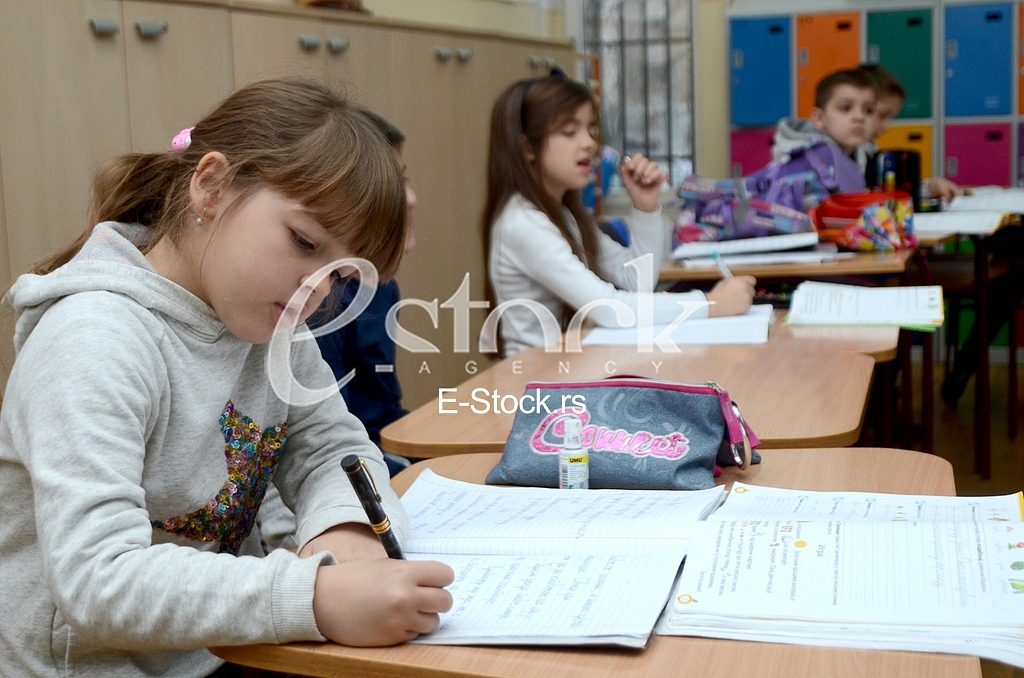 The elementary school Vuk Karadzic