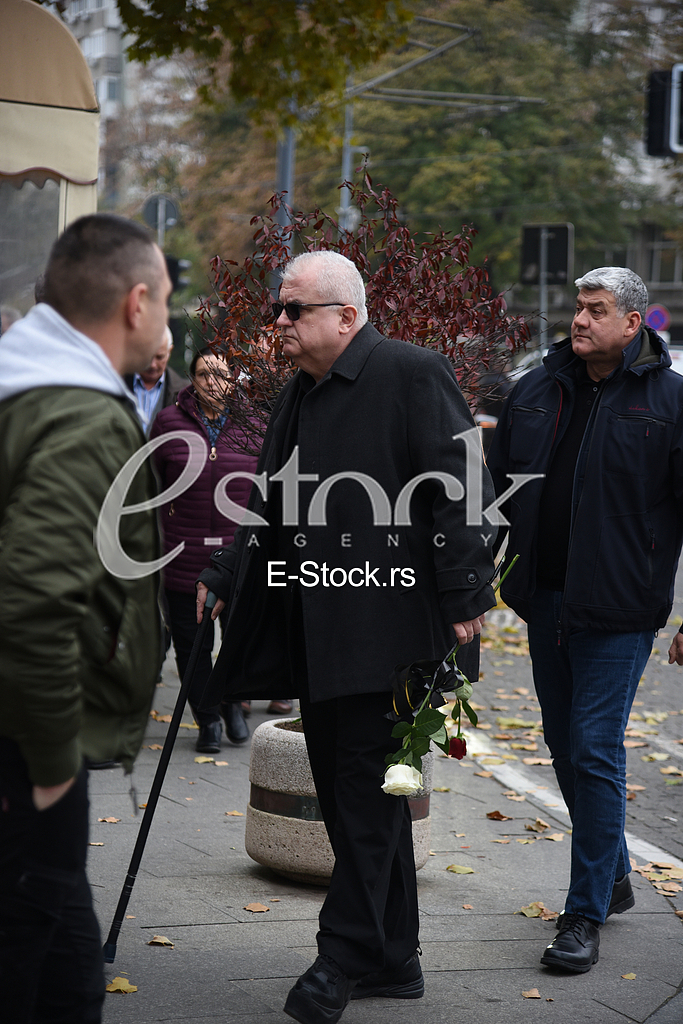 nenad canak