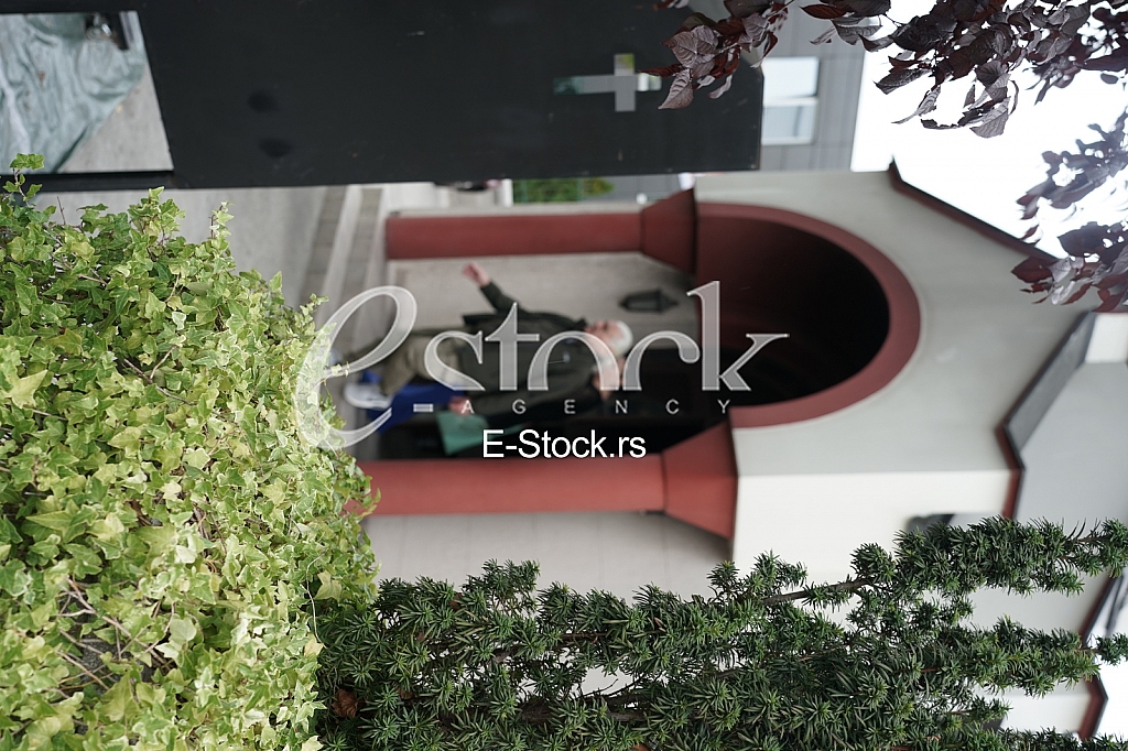 Aleksandar Radulovic Futa