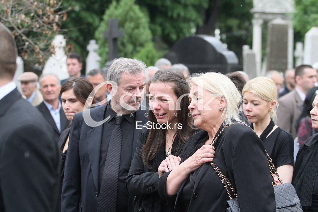Dragomir Karic Danijela Karic Gordana Karic Slavica Karic
