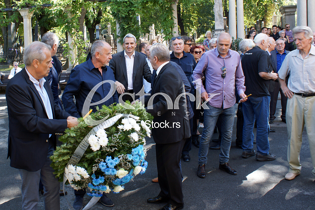 Sahrana Ljubisa Samardzic Smoki 
