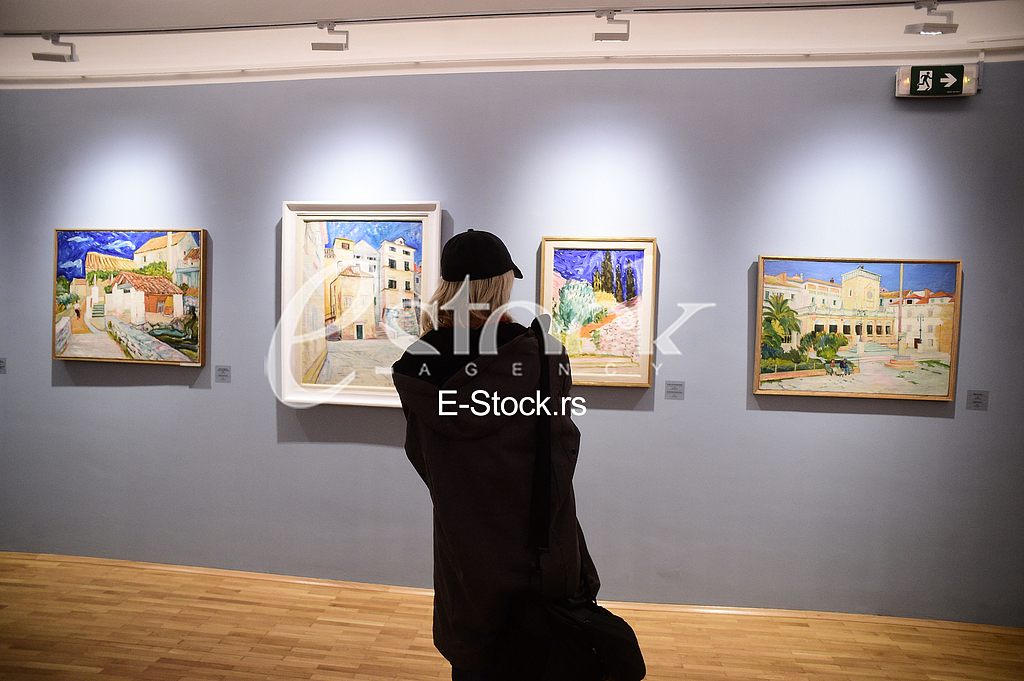 Galerija Petar Dobrovic
