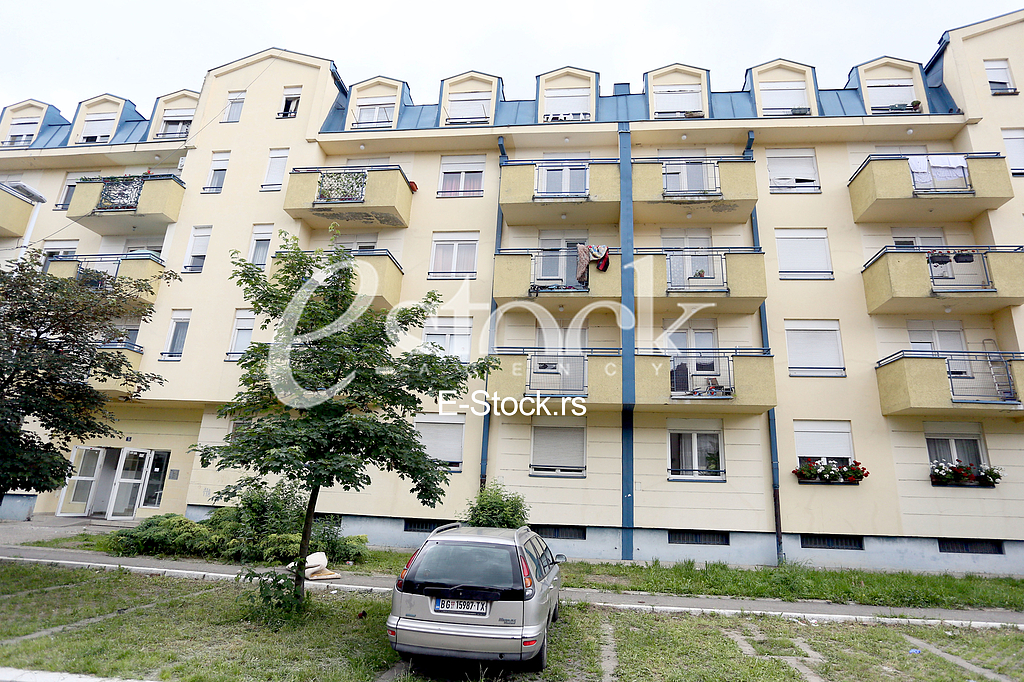 Pozar Zemun polje