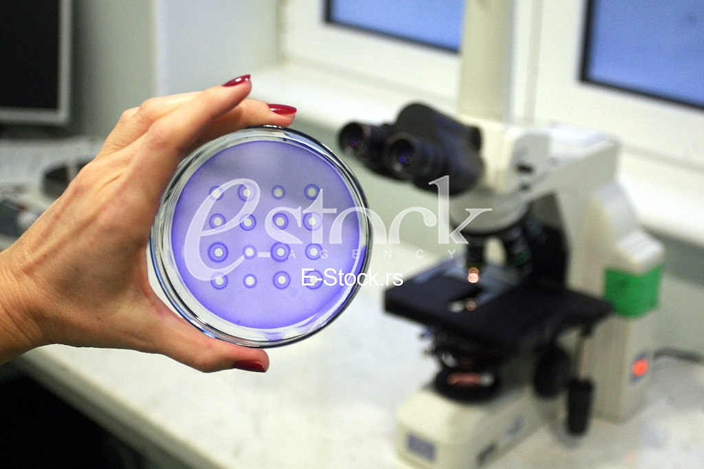 Laboratorija