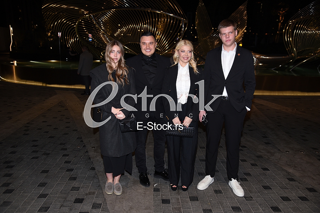 Danijela Karic Ivan Mileusnic