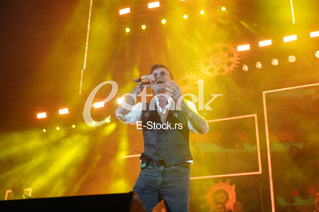 Koncert Dziboni
