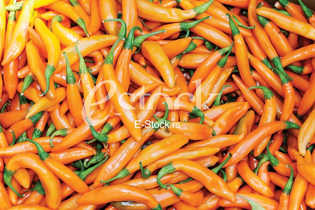 Pepper
