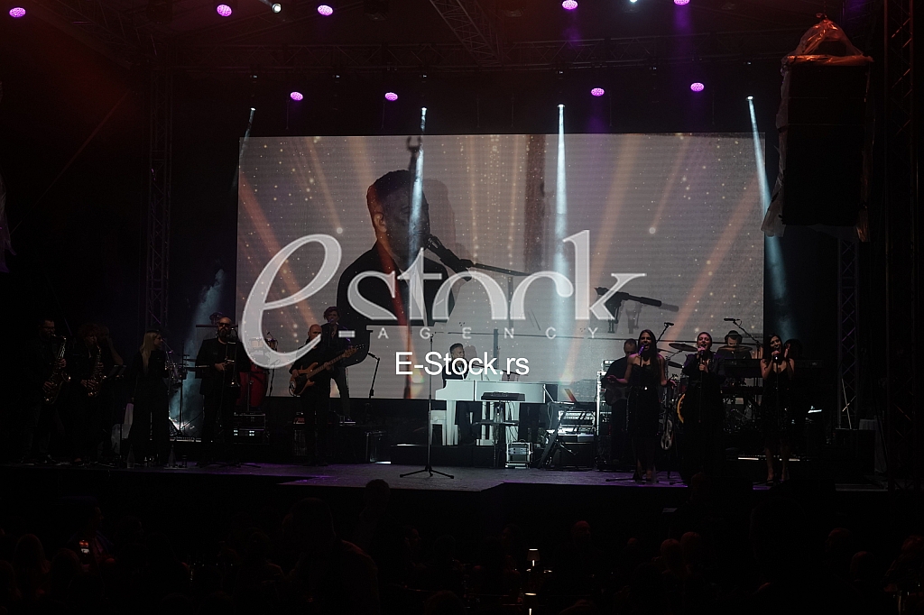 Jeljko Joksimovic koncert topciderac