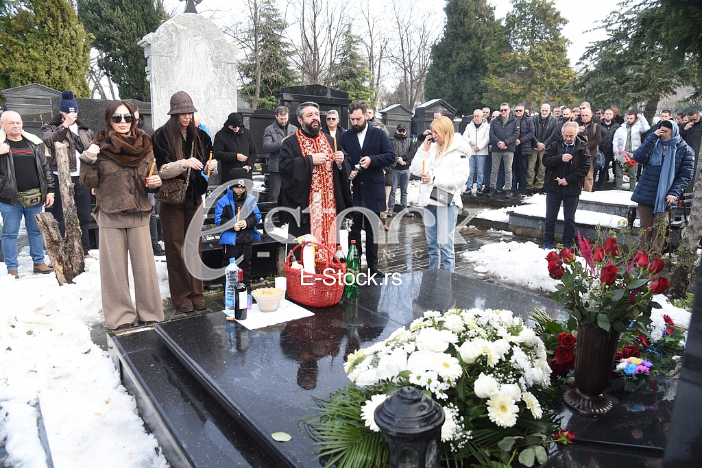 Ceca Raznatovic Bogdana Lidija Ocokoljic