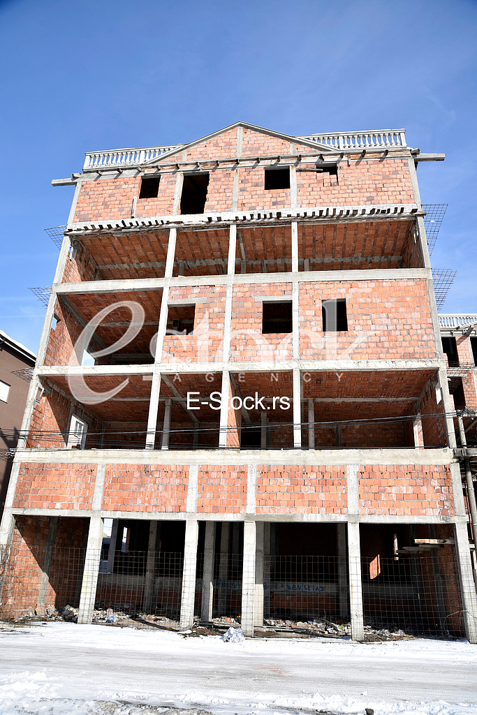 Veronica and Dragan committed suicide in Borca