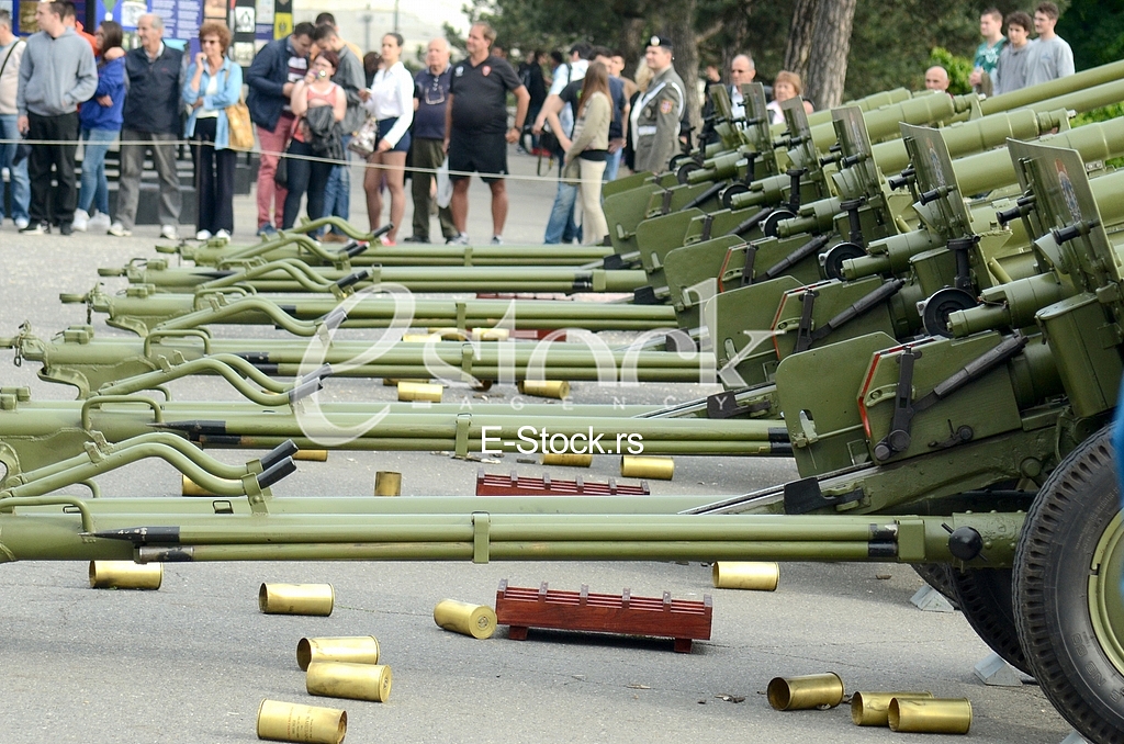 Serbian Army Day