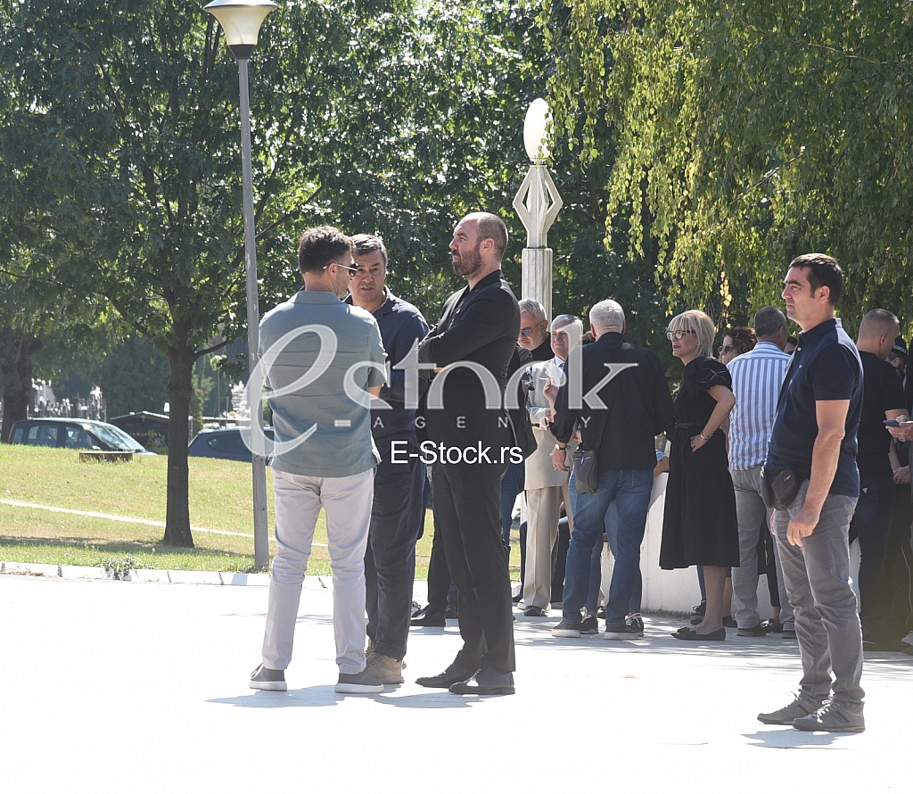 Slobodan Milenkovic Rade Bogdanovic