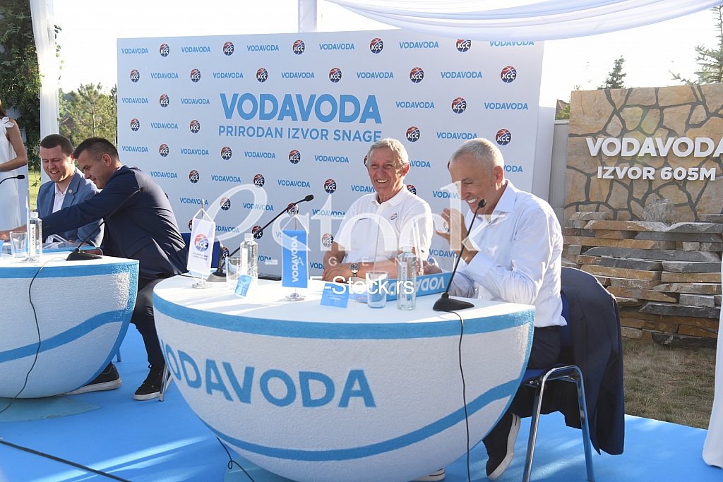 Svetislav Pesic Vojin DJordjevic