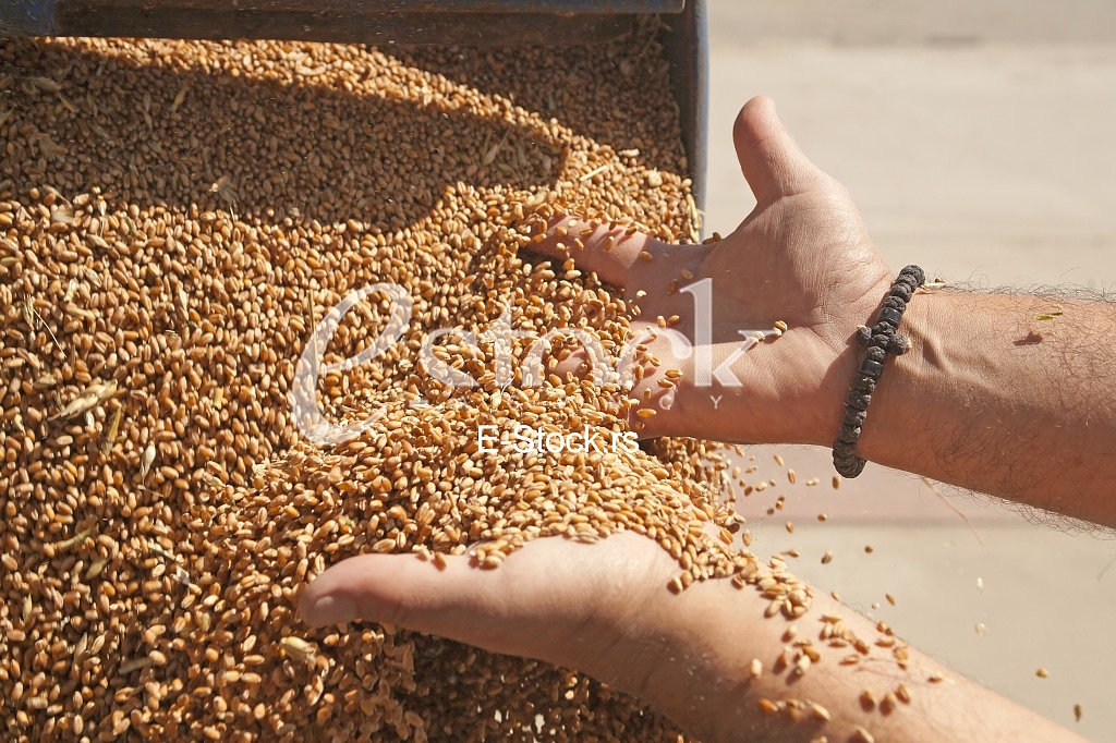 Agriculture