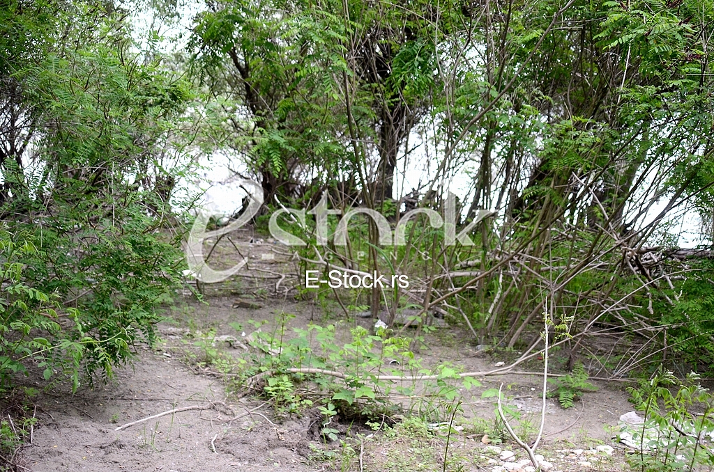 Place where he found the corpse of a Chinese citizen