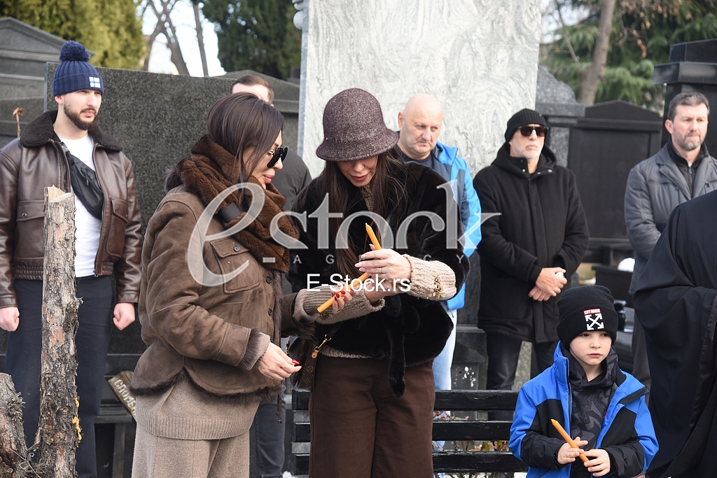 Ceca Raznatovic Bogdana