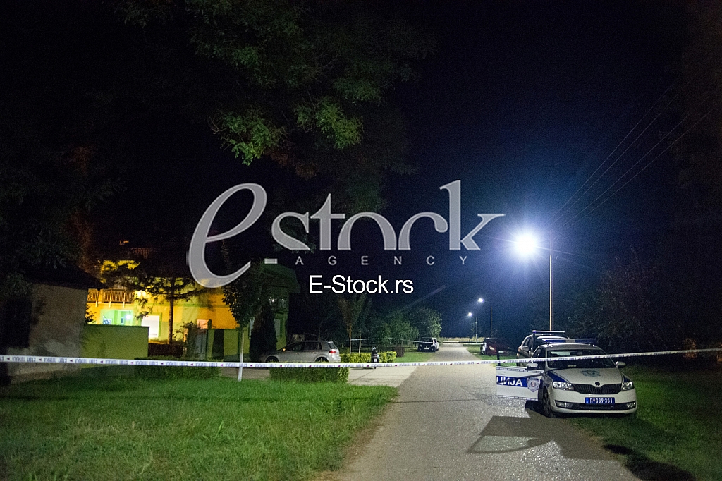 Mario Trtic godfather of Goca Trzan