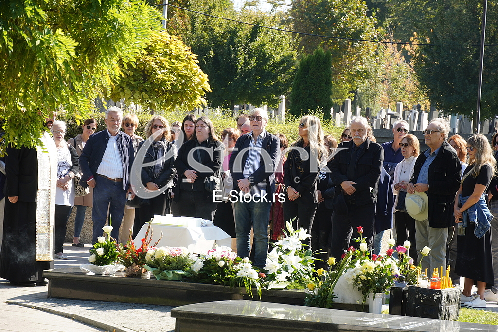 Pomen Mileni Dravic