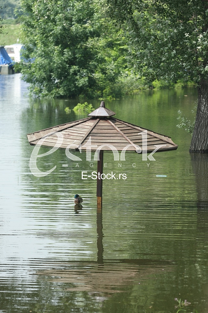 Flooding of the flooded river, flooded playground, deluge