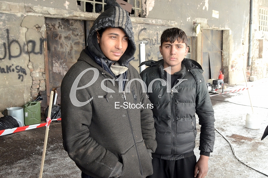 Migrants 