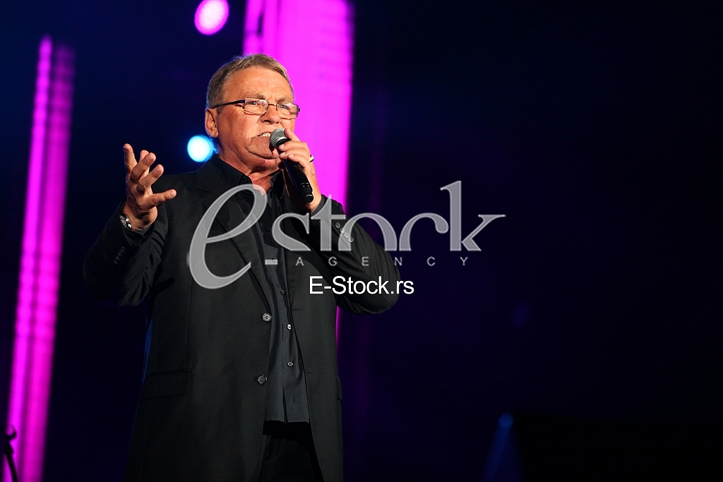 Zoran Kalezic Concert
