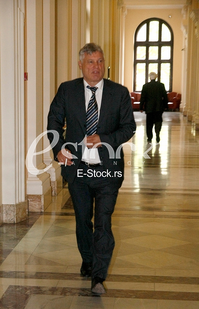 Serbian Assembly session