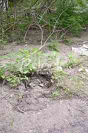 Place where he found the corpse of a Chinese citizen