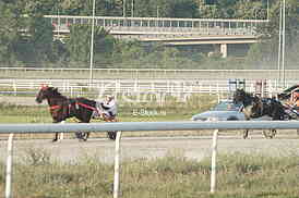 Hipodrom Beograd Srpski galopski derbi