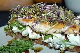 Food and Drink Festival
