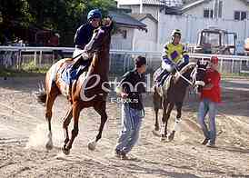 Hippodrome Belgrade hippodrome, and 100 years of equestrian sport horses and equestrian sports, horse