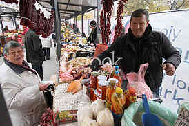  Market Palilula