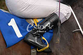 Ljubicevo Equestrian Games
