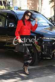 Svetlana Ceca Raznatovic