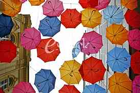 umbrellas in different colors 