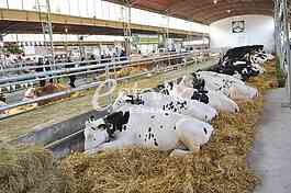Agricultural machinery at fair