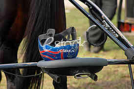 Ljubicevo Equestrian Games
