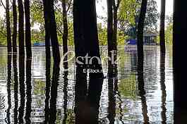 Tamis poplave