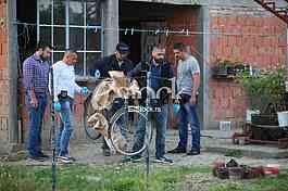 MURDER JELENE MARJANOVIC Police and forensic experts looking for new witnesse