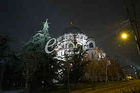 Koronavirus setnja ljubimca